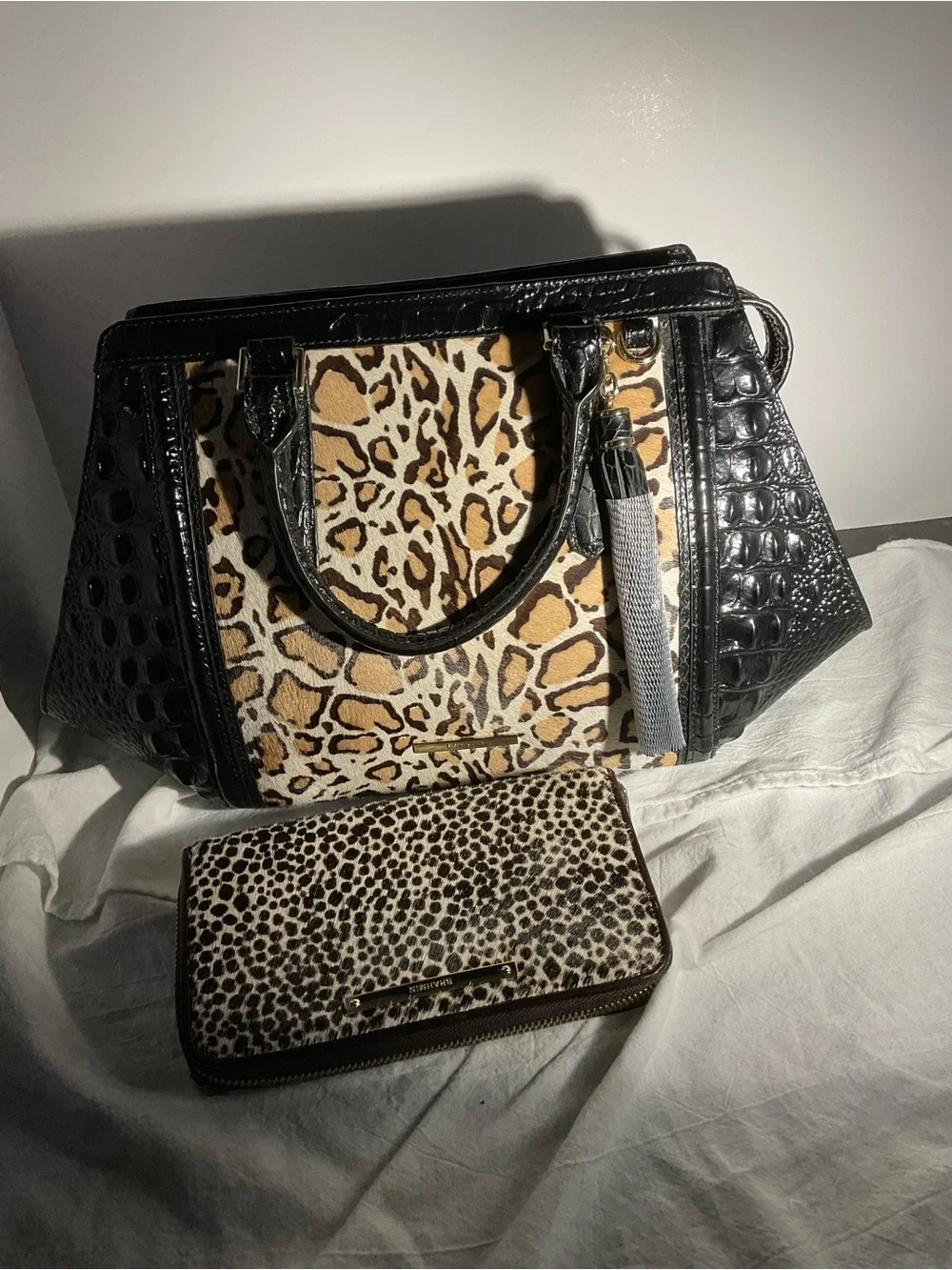 Brahmin Arden and cordinating wallet